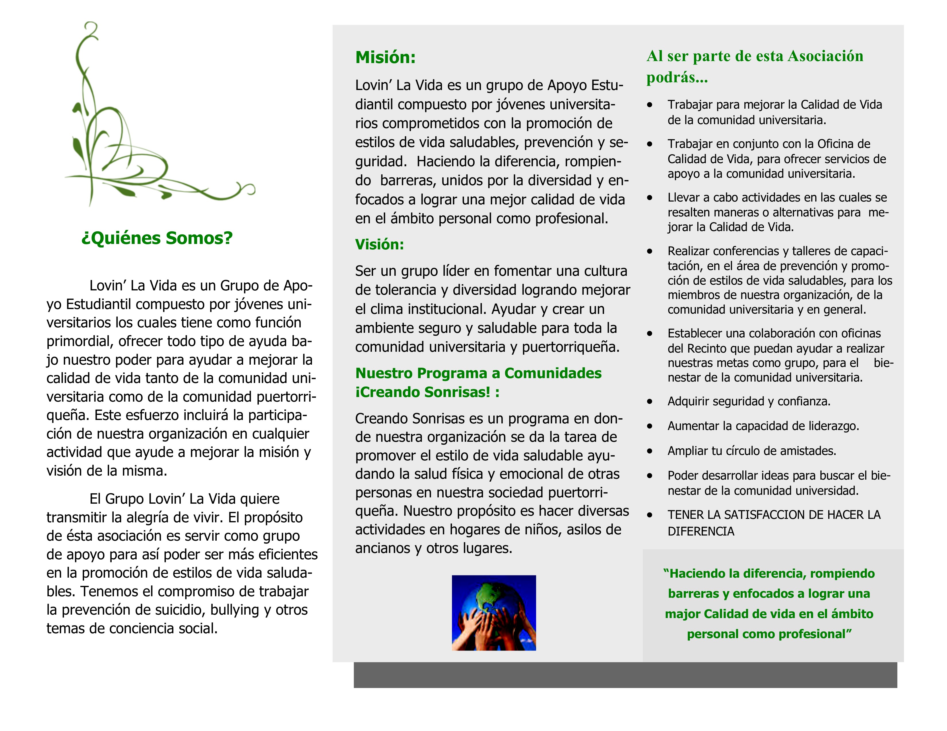 Brochure Nuevo LLV 1