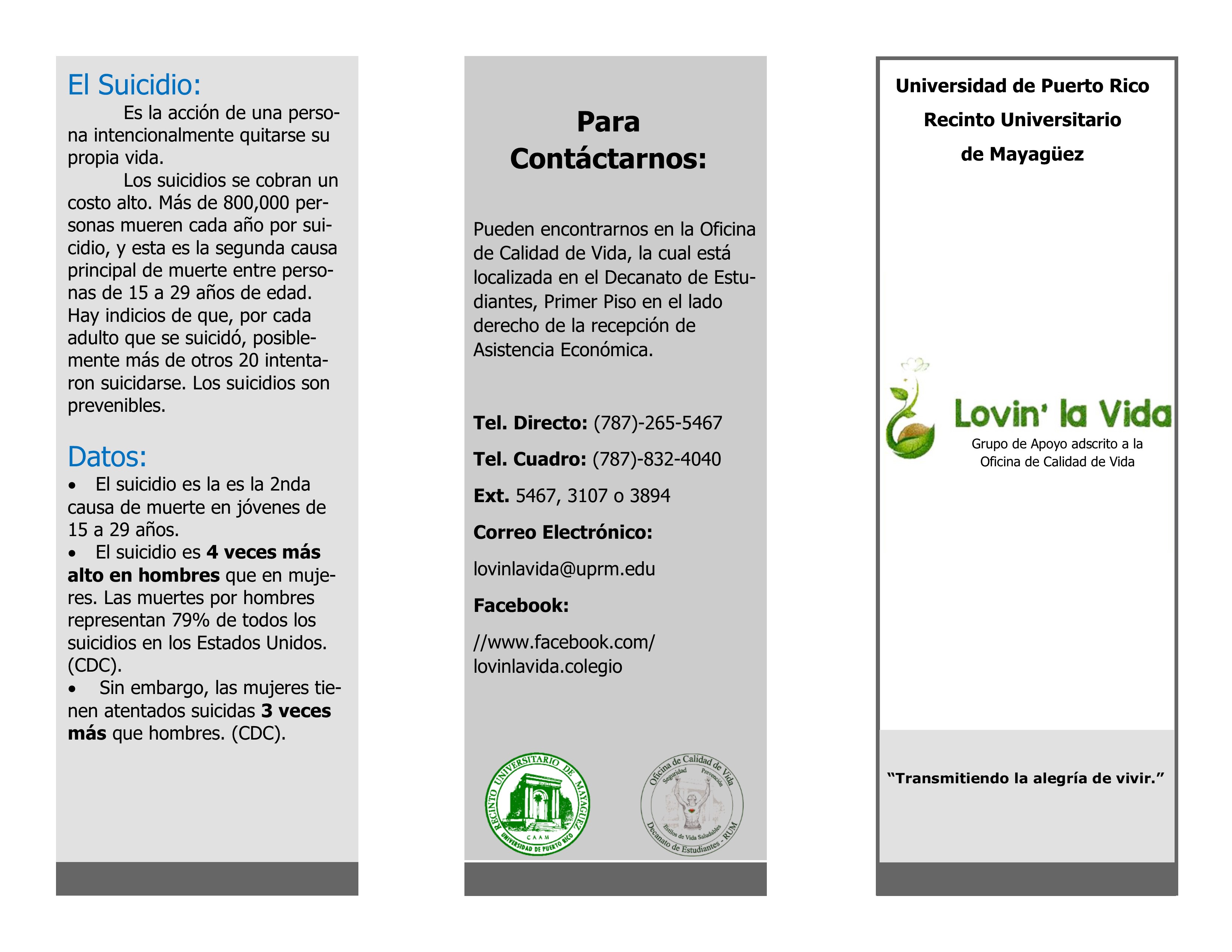 Brochure Nuevo LLV