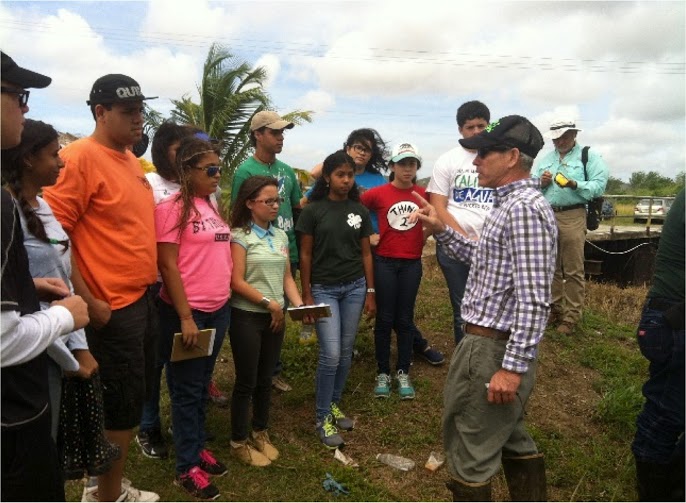 Voluntarios Club 4-H