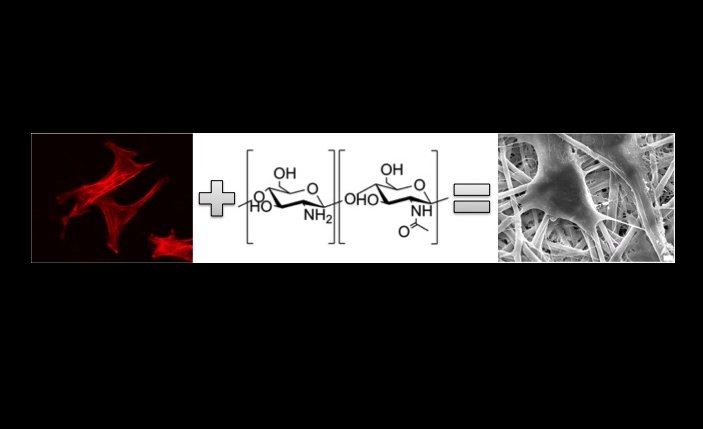 Merging Materials with Biology