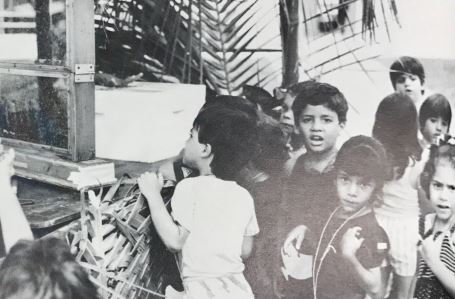 Exhibicin de Abejas 1988