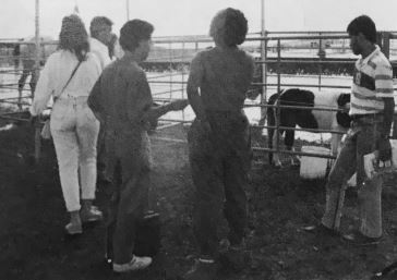 Visitantes 1989