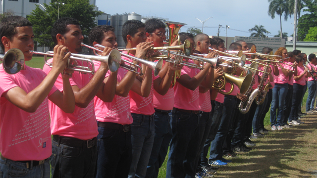 Marcha rosa 2013.