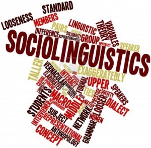 Sociolinguistics (International Masters in Sociolinguistics and Multilingualism). 