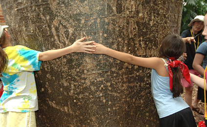 Children hugging a Canoa tree. Archive photo