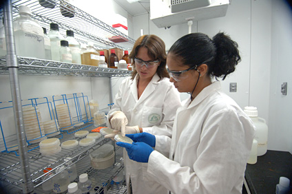 Desde la izquierda Ana María Gómez, investigadora asistente y la estudiante de Biotecnología, Melody López Méndez.
