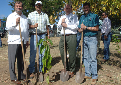 Desde la izquierda, el rector del RUM, doctor Jorge I. Vélez Arocho; el secretario saliente del Departamento de Recursos Naturales y Ambientales, Javier Vélez Arocho; el decano del Colegio de Ciencias Agrícolas (CCA) del RUM, doctor John Fernández Van Cleve; y el doctor Skip Van Bloem, del Departamento de Agronomía y Suelos del CCA.