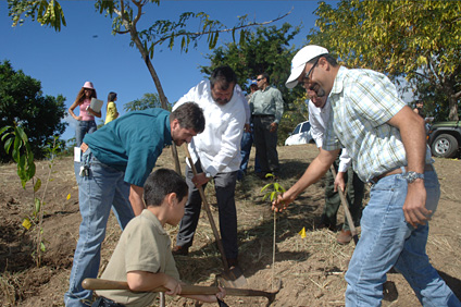 The purpose of the planting, whose first phase took place on Mataró Farm in Lajas, is to develop a secondary forest of native species.