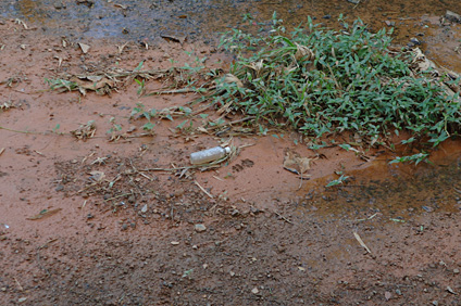 El Plan de Manejo de Aguas de Escorrentías pretende reducir las descargas de contaminantes que llegan a los cuerpos de agua cercanos al Recinto.