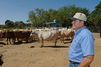 Agronomist Luis Añeses, research assistant who works at Finca Montaña, is in charge of the everyday field breeding operation.