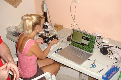 Los alumnos recogieron muestras de óvulos y espermatozoides de corales para ayudar a reproducirse y llevarlas a dos laboratorios instalados al lado de la playa.