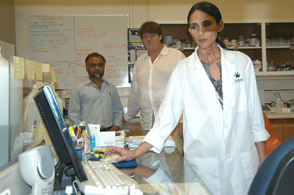 El equipo de investigadores que estudiará las células madre. En el fondo, desde la izquierda, los doctores Surinder P. Singh y Jaime Ramírez-Vick. Al frente, la asociada de investigación Claudia Acevedo.