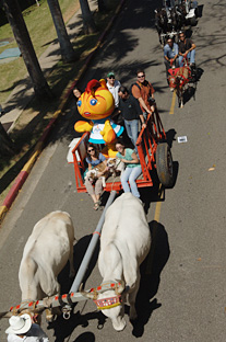 En el desfile de apertura se destacaron los símbolos colegiales, los del cultivo de la Tierra y los Juegos Centroamericanos y del Caribe 2010.