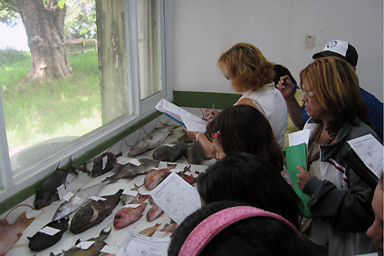 Su visita a varios laboratorios, como el de los peces de mar, les permitió observar con detenimiento las especies.