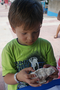 Los niños disfrutaron mucho la experiencia de poder interactuar con organismos marinos.