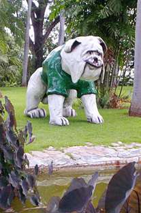 Tarzán es la mascota del Colegio, representante de la tenacidad que tienen los estudiantes de la casi centenaria institución.