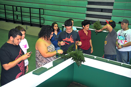 Una treintena de estudiantes participó en la confección de los arreglos florales.