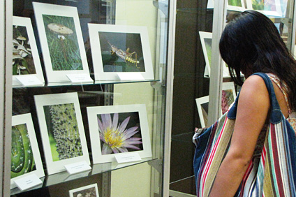 La Sala Puertorriqueña de la Biblioteca General del RUM se engalanó con una selección de 38 fotografías científicas.