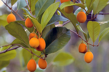 Los agricultores también se beneficiarán de este esfuerzo educativo.