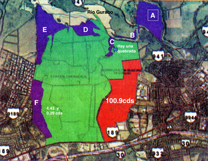 Gráfica que muestra por colores los terrenos que pertenecen a la EEA de Gurabo y que el Municipio quiere obtener mediante una permuta. 