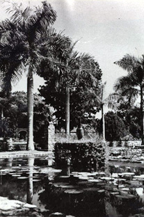 La Fuente de Hostos en 1952.