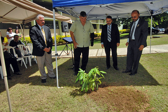 Como parte de la conmemoraci&oacute;n del 35 aniversario del Plan Coop, se sembr&oacute; un &aacute;rbol en memoria de Pamela y Jes&uacute;s S&aacute;nchez, fallecidos a principio de a&ntilde;o. Observan desde la izquierda Jose Font;  Pedro S&aacute;nchez, padre los j&oacute;venes; el rector interino Jorge Rivera Santos; y el decano de Ingenier&iacute;a, Jaime Seguel.<br>Carlos D&iacute;az / Prensa RUM
