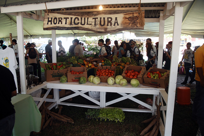 En la exhibici&oacute;n de Horticultura los asistentes pod&iacute;an encontrar desde plantas medicinales hasta &aacute;rboles frutales.<br>Carlos D&iacute;az / Prensa RUM