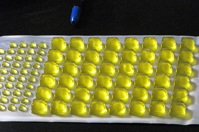Los participantes realizaron pruebas microbiol&oacute;gicas para determinar la presencia de la bacteria <em>E.coli</em> en las muestras analizadas.<br>Rebecca Carrero / Prensa RUM