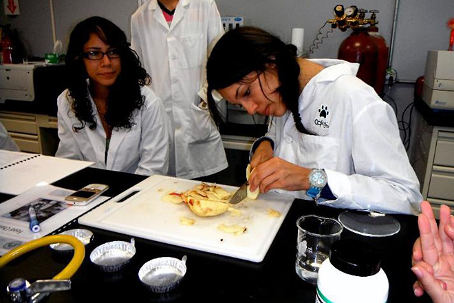 Varias estudiantes durante un taller de verano que ofreci&oacute; CITA sobre fermentaci&oacute;n, microbiolog&iacute;a, qu&iacute;mica y an&aacute;lisis sensorial <br>de los alimentos.<br>Suministrada