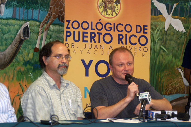 Adem&aacute;s de colaborar en la investigaci&oacute;n de 1,000 Genomas, los catedr&aacute;ticos tambi&eacute;n trabajan con el genoma de la cotorra puertorrique&ntilde;a.<br>Foto de Archivo