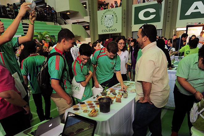 El evento cont&oacute; con la participaci&oacute;n de representantes de los programas y departamentos acad&eacute;micos de sus cuatro colegios: Administraci&oacute;n de Empresas, Artes y Ciencias, Ciencias Agr&iacute;colas e Ingenier&iacute;a.<br>Prensa RUM