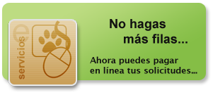 Pago en L&iacute;nea