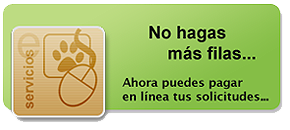 Pagar solicitudes en l&iacute;nea