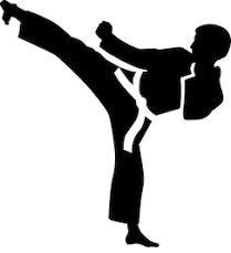 Logo Taekwondo