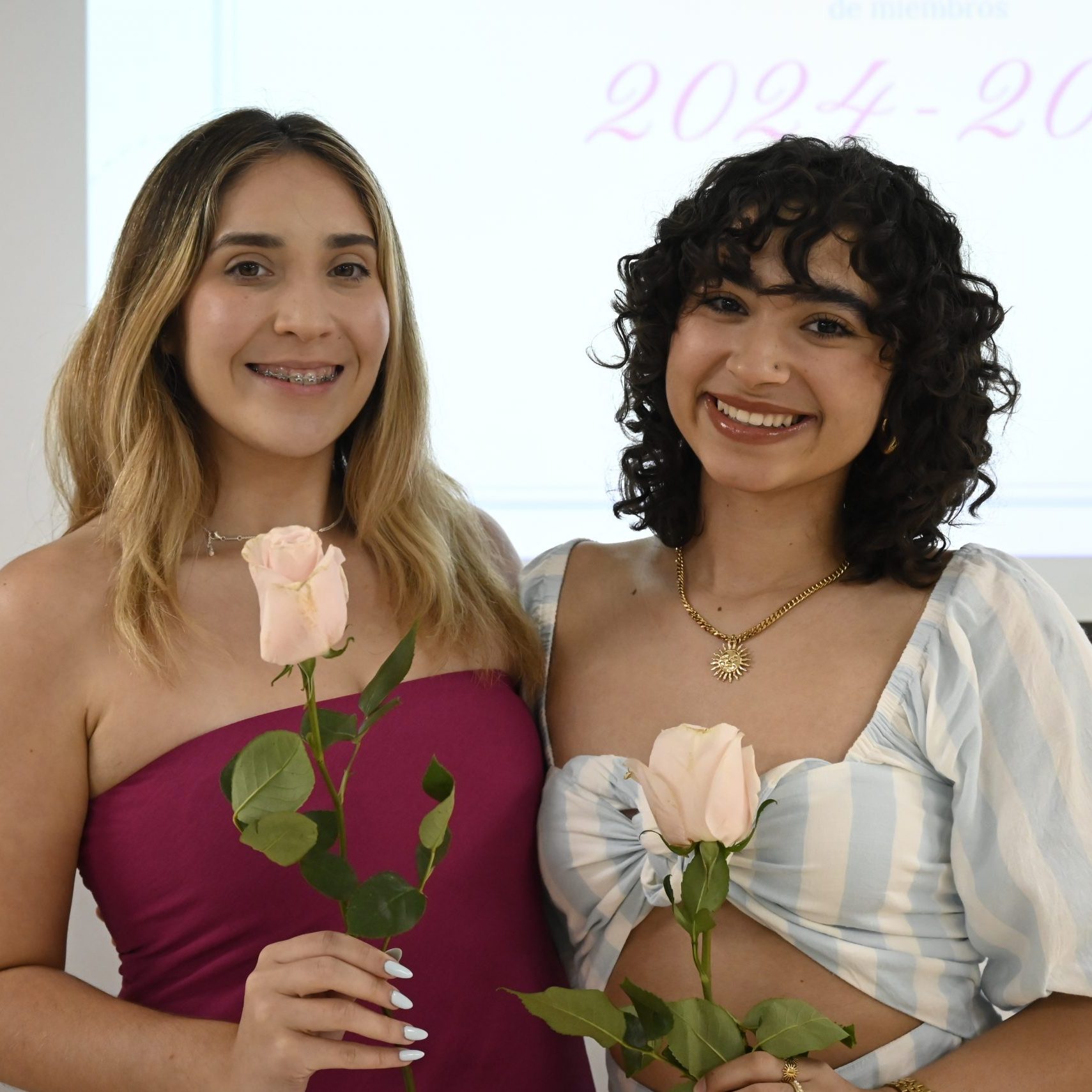 roses photo 2