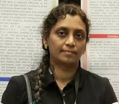Vidya