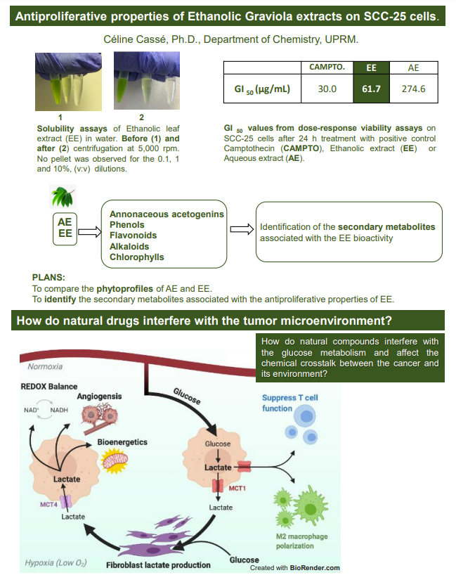 Cassé Poster