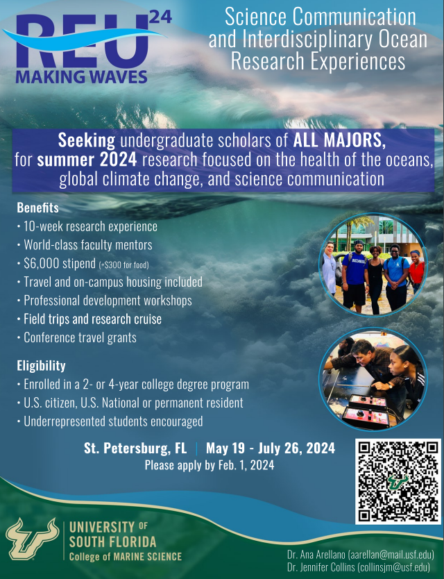 Making Waves REU