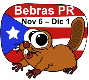 Logo Bebras Registro Maestro