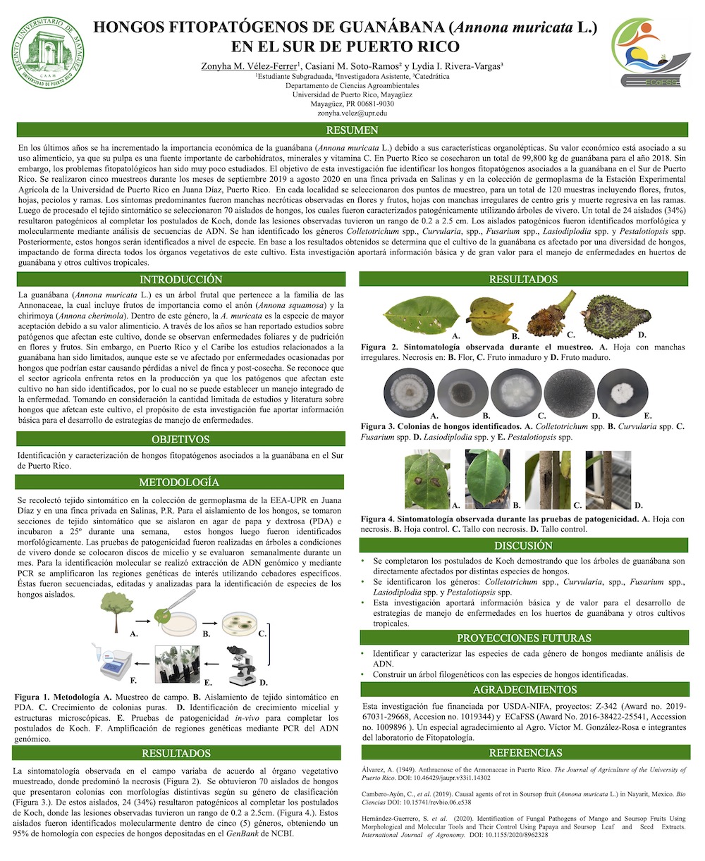 Poster SOPCA 2021