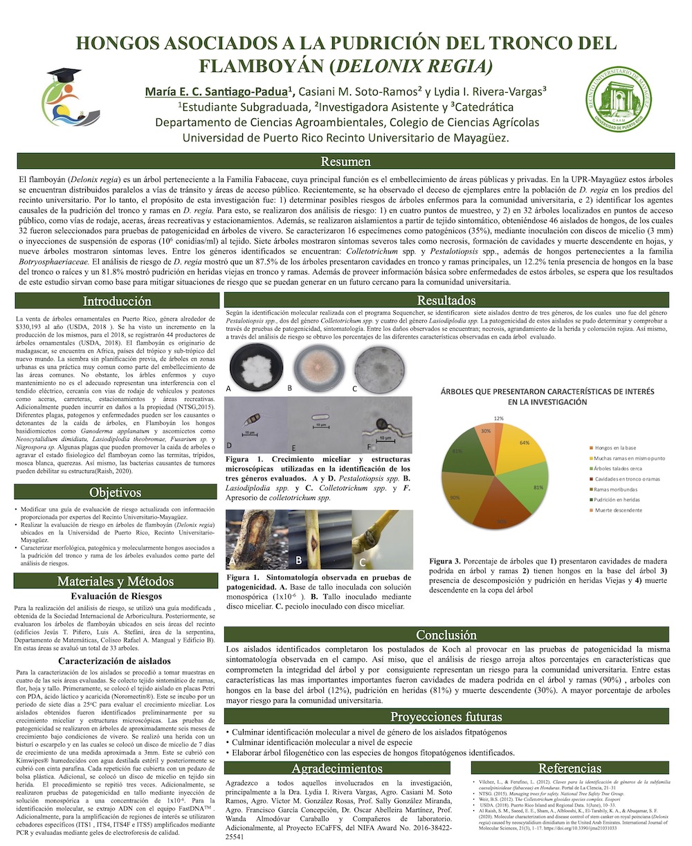 Poster SOPCA Maria E.