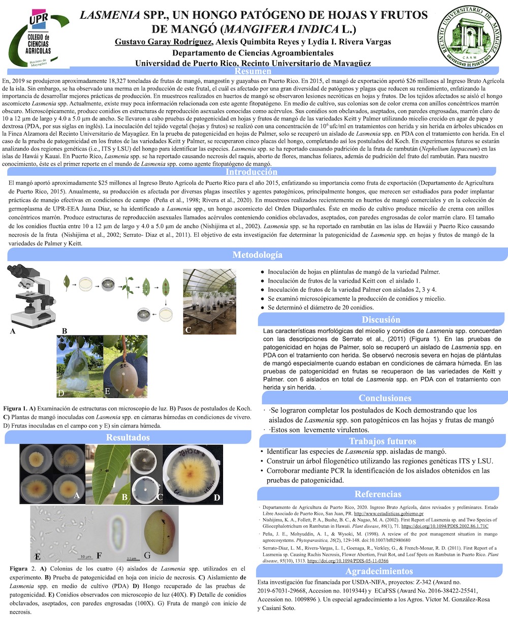 Poster de Lasmenia Gustavo Garay SOPCA.pptx (1)