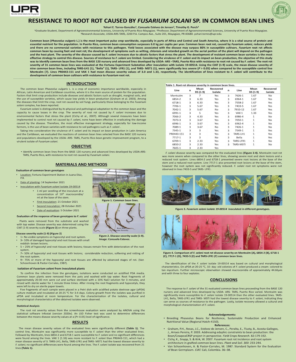 SOPCA POSTER YTG FINAL(1)