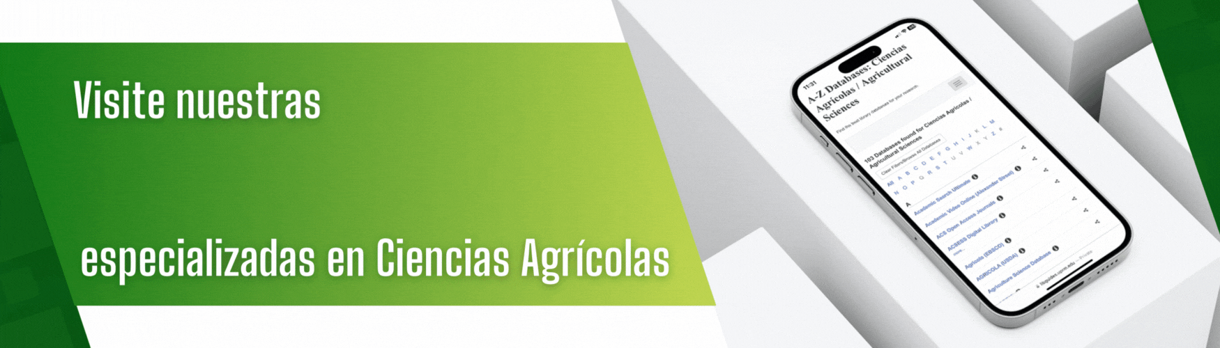 Bases de Datos