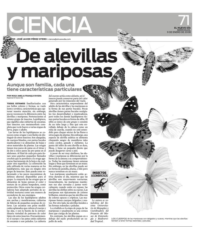 DE ALEVILLAS Y MARIPOSAS