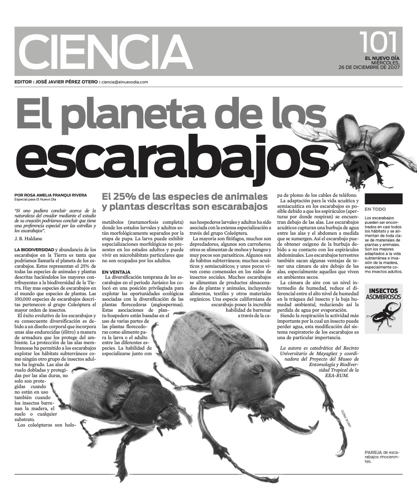 EL PLANETA DE LOS ESCARABAJOS