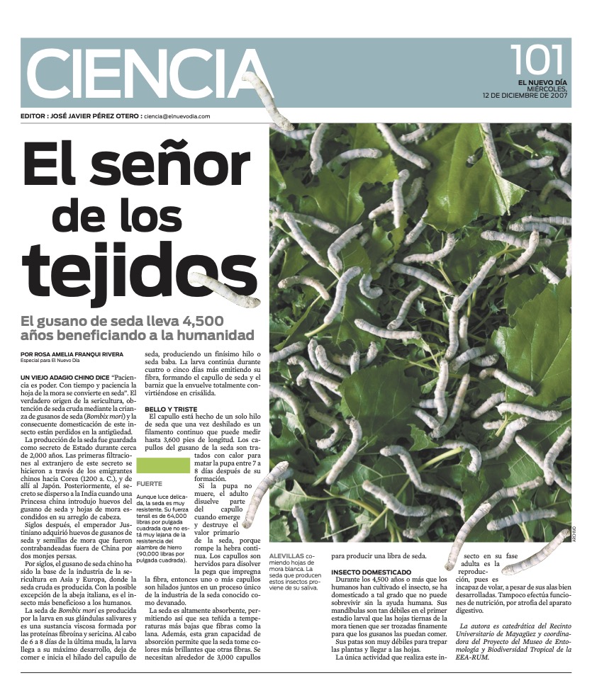 EL SENOR DE LOS TEJIDOS