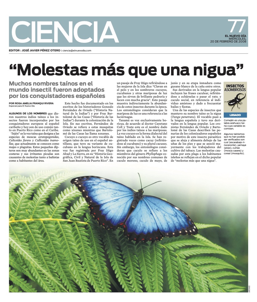 INSECTOS ASOMBROSOS-MOLESTAS MAS QUE UNA NIGUA