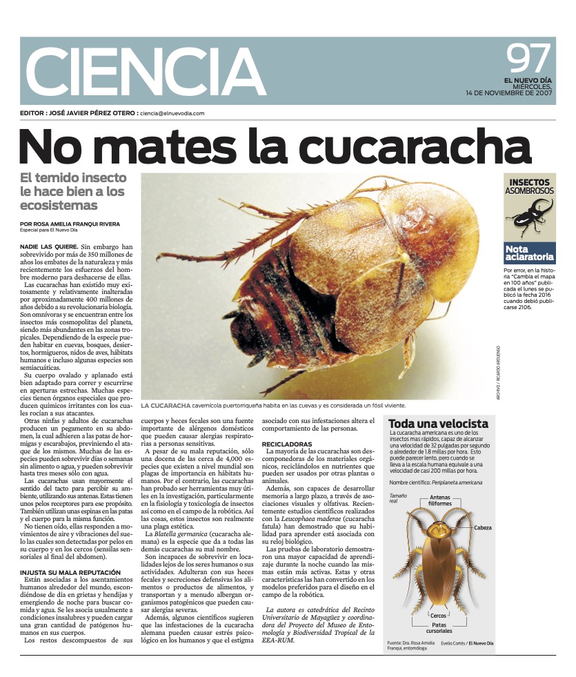 NO MATES LA CUCARACHA