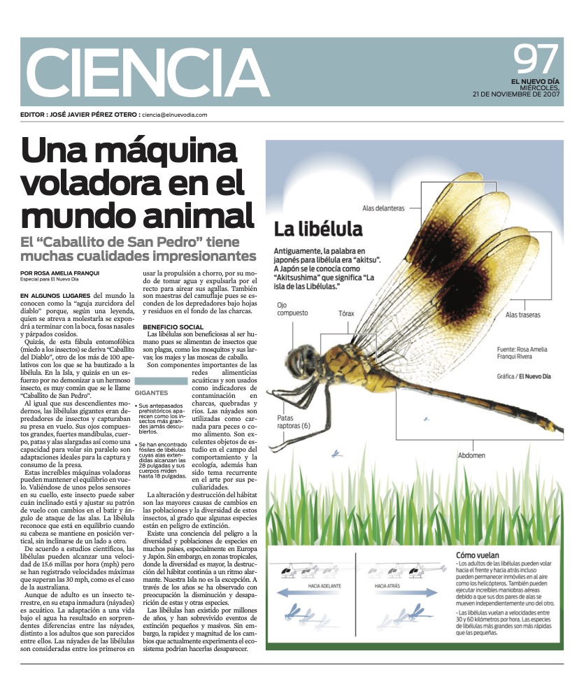 UNA MAQUINA VOLADORA EN EL REINO ANIMAL